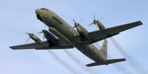 Путин назвал крушение Ил-20 в Сирии цепью случайных обстоятельств