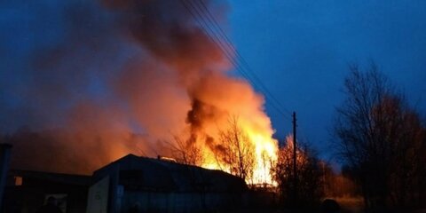 Пожар в Раменском районе локализовали