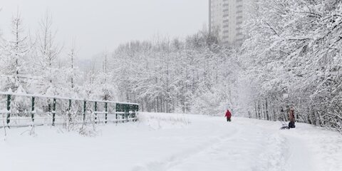 Январские морозы накроют Москву в конце недели