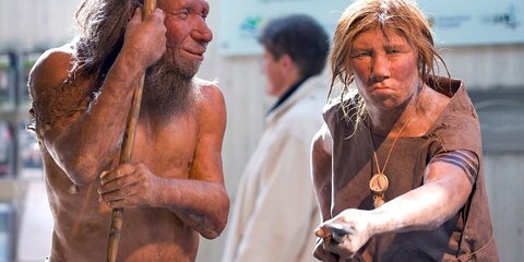 Ученые подсчитали число контактов между людьми и неандертальцами