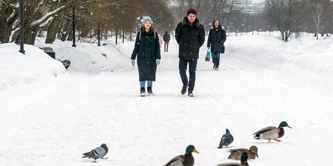 Москвичам пообещали ослабление снегопада