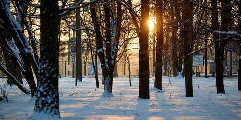 Мороз и солнце. Синоптики рассказали о погоде в столице 17 декабря