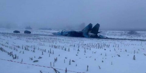 Опубликованы снимки потерпевшего крушение под Житомиром Су-27