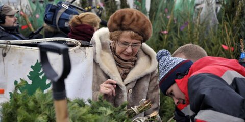 Более 40 пунктов приема хвойных деревьев заработают на северо-западе Москвы 9 января