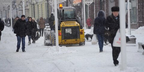 Синоптики рассказали о погоде в Москве в новом году
