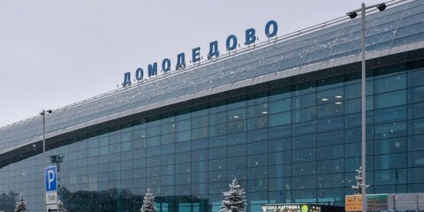 Задержан дебошир из аэропорта Домодедово