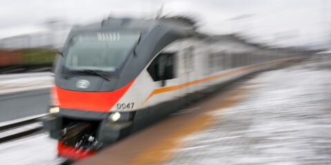 Движение поездов на Рижском направлении МЖД восстановили после сбоя