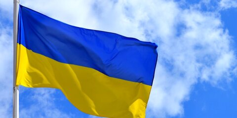 Закон о недопуске наблюдателей из РФ на Украину оценили в Госдуме