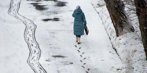 На Москву надвигается мокрый снег с дождем