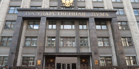 В ГД осудили решение СБУ возбудить новые дела из-за инцидента в Керченском проливе