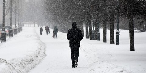 Январские морозы ударят в столице в первые дни весны