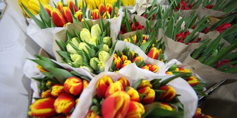Стали известны траты россиян на цветы к 8 марта