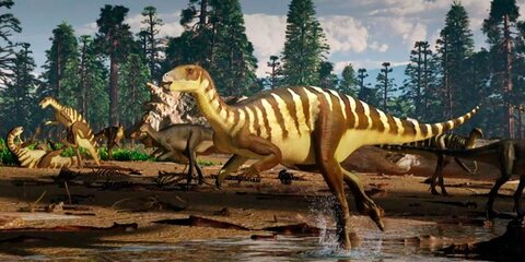 Ученые открыли новый вид травоядных динозавров
