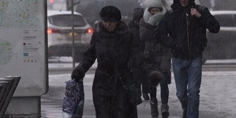 Москвичей предупредили о порывистом ветре и мокром снеге в пятницу
