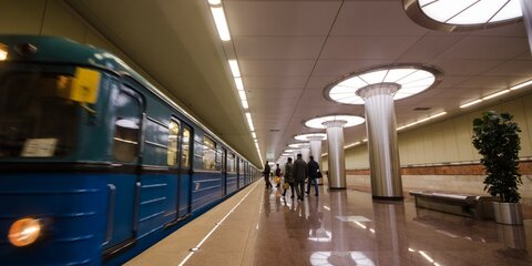 Пассажир метро выжил после падения под поезд на станции 