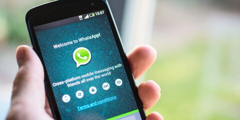 Пользователей WhatsApp предупредят о пересылке сообщений
