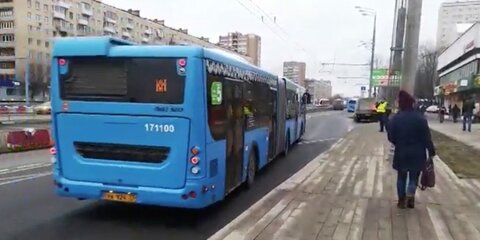 Автобусы 