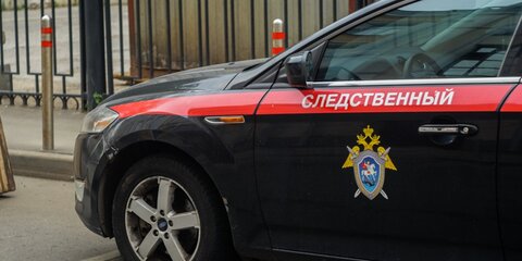СК проверяет информацию о нападении алабая на ребенка в Подмосковье