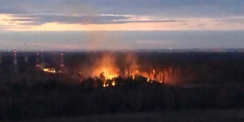 Пожар вспыхнул в лесу под Балашихой