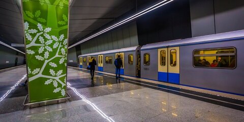 Движение поездов на желтой ветке метро ввели в график