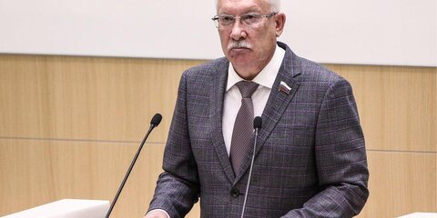 В Совфеде оценили слова главы МИД Чехии о новых санкциях ЕС против РФ