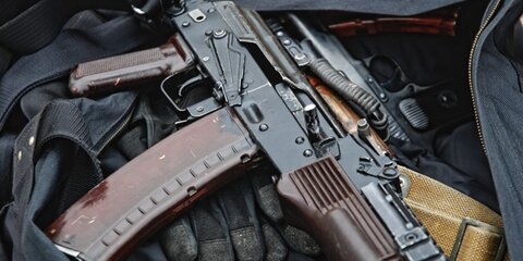 Доработанный законопроект об оружии внесли в Госдуму