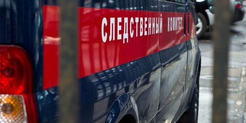 СК проверяет сообщение об избиении 10-летнего мальчика на юге Москвы