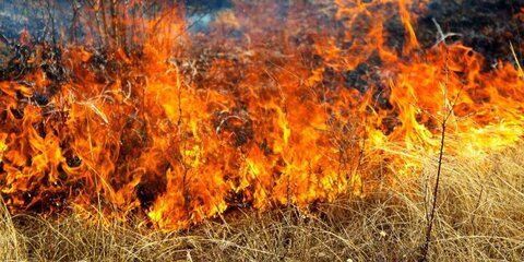 Жителей столичного региона предупредили о риске возникновения пожаров