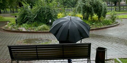 Дождливая погода ожидается в Москве в пятницу