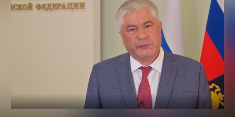 Глава МВД попросит об отставке генералов полиции по делу Голунова