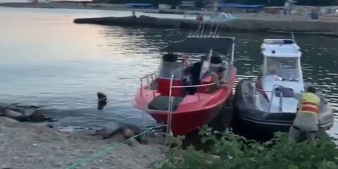 Туристки из Мордовии и Белгорода погибли в ЧП с катамараном в Черном море