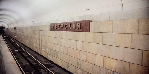 Женщина выжила после падения под поезд метро в Москве