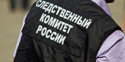 Возбуждено дело против насмерть сбившего женщину в Москве лыжника