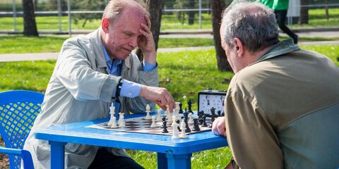 Международный день шахмат празднуют на ВДНХ