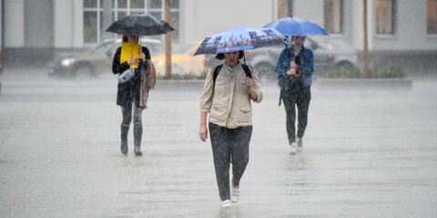 Москвичей предупредили о дожде и ветре в среду