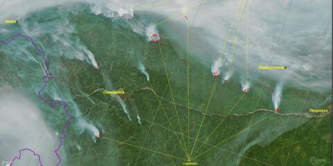 Опубликованы спутниковые снимки лесных пожаров в Сибири