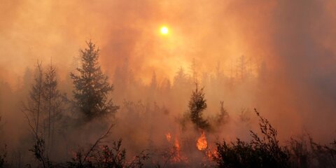 Сибирь в огне. Как идет борьба с лесными пожарами