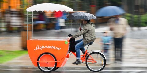 Прохладная и дождливая погода сохранится в Москве на следующей неделе
