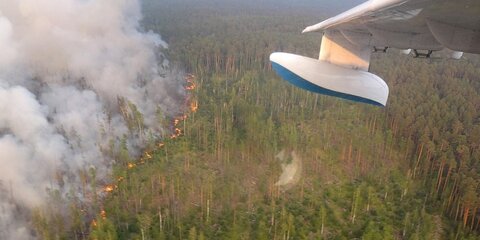 За сутки под Красноярском потушили пожары площадью 23 тысячи гектаров