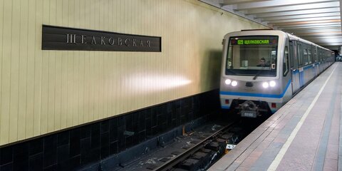 Сбой в движении поездов произошел на синей ветке метро Москвы