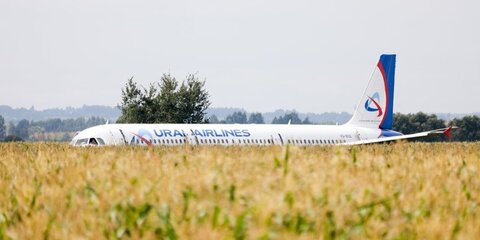Пассажиры аварийно севшего самолета получат по 100 тысяч рублей