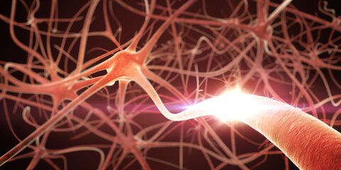 Ученые придумали, как заменить поврежденные нервные клетки чипами