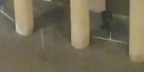 В Сети появилось видео начала стрельбы на Лубянке