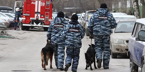Около 30 школ проверяют в Москве из-за сообщений об угрозе взрыва