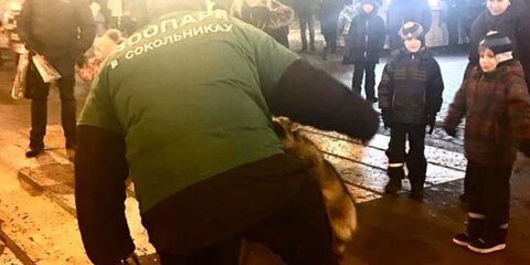 Россиян призвали жаловаться на незаконно работающие контактные зоопарки