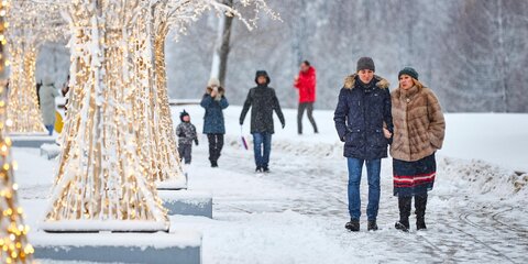 Нулевая температура и мокрый снег ожидаются в Москве в выходные