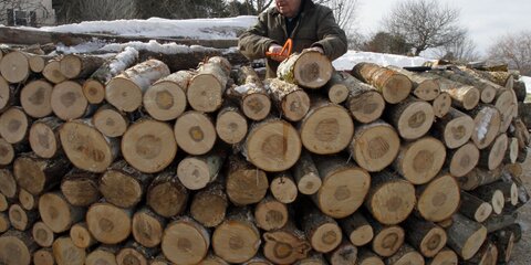Лесозаготовители терпят убытки из-за теплой зимы