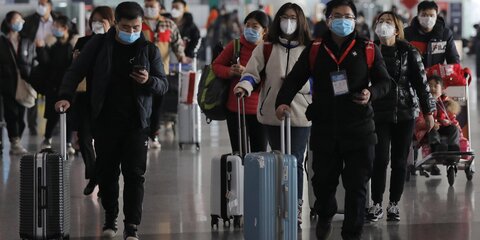 Правительство РФ приостановит выдачу рабочих виз гражданам Китая
