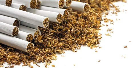 Контрабандные сигареты из Белоруссии продавали почти по всей России