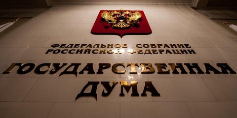 Комитет Госдумы поддержал поправку о праве экс-президентов быть сенаторами пожизненно